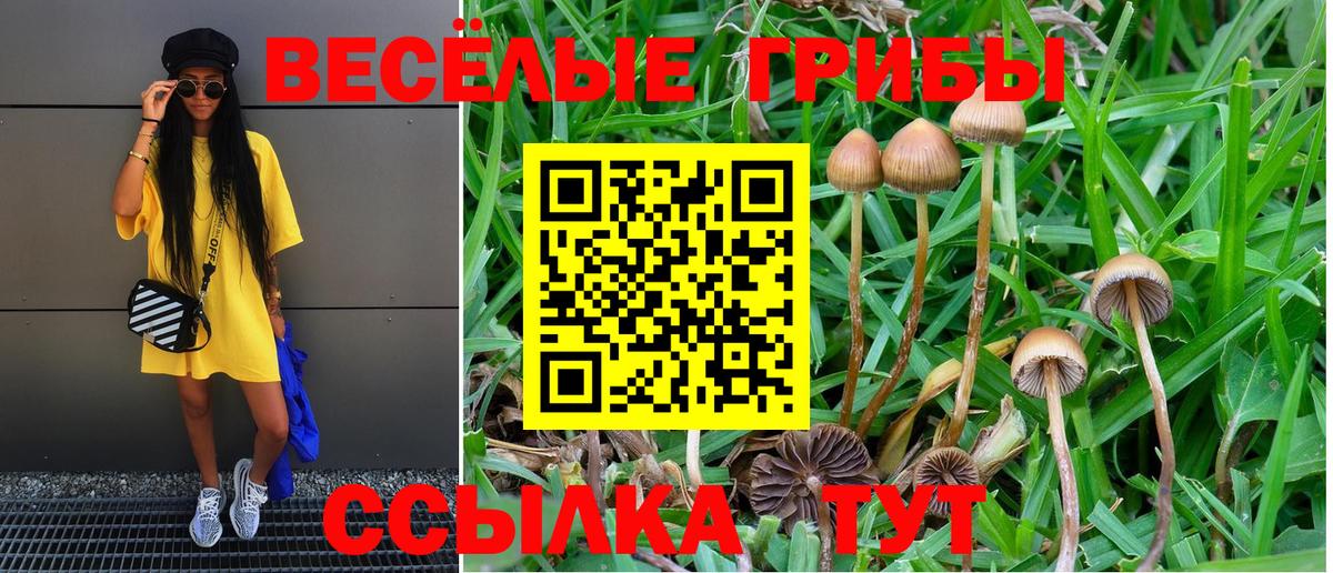 Псилоцибиновые грибы ЛСД Зима